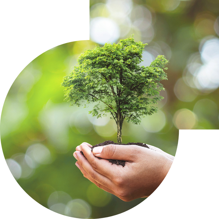 关怀人类、文化、环境与社会